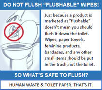 Public service add warning "do not flush "flushable" wipes!